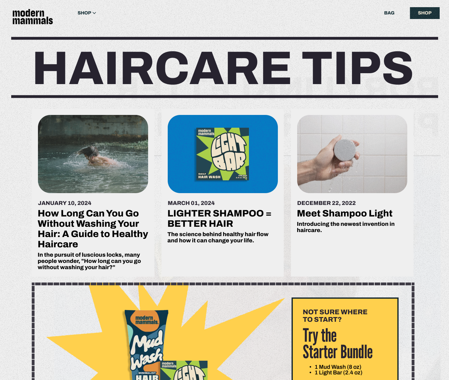 Modern Mammals brand and web design preview